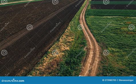 Country Dirt Road Between Cultivated Fields In Diminishing Perspective