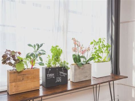 Every room in our apartment is full of everything from small cactus and succulents to hanging plants and indoor trees. indoor windowsill planter box 2 plants just place ...