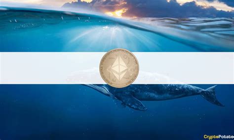 Comprehensive information about the eth aud (ethereum vs. Ethereum Whales at an All-Time High as ETH Explodes ...