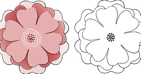 Svg Png Dxf Petal Paper Flowers Template Cut File With Free Etsy My