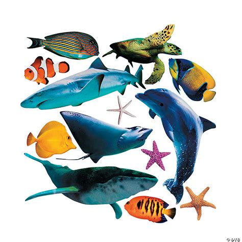 Jumbo Realistic Sea Life Cutouts 13 Pc Oriental Trading