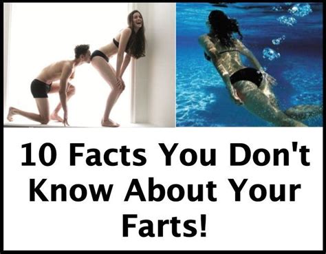 Pin On Fart Facts