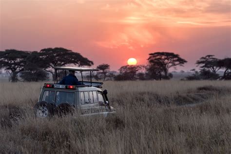 Safari In Tanzania Cosa Portare Primaland Safaris Blog