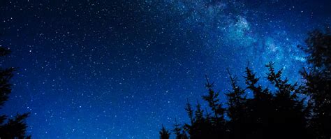 Download Wallpaper 2560x1080 Starry Sky Night Stars Glitter Trees