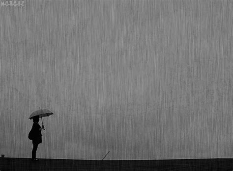 Anime Girl Walking In The Rain 
