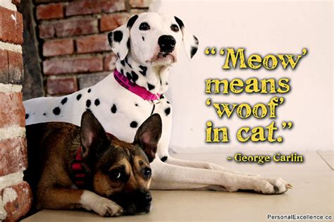 50 Great Dog Inspired Quotes Puppy Leaks
