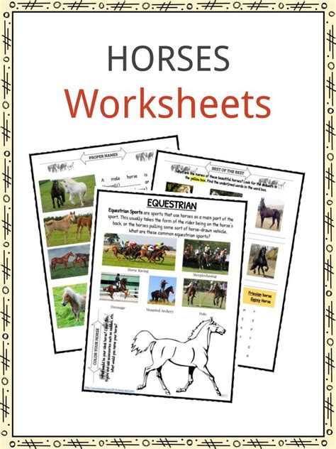 Horse Facts Breeds History Behavior Worksheets For Kids Kidskonnect