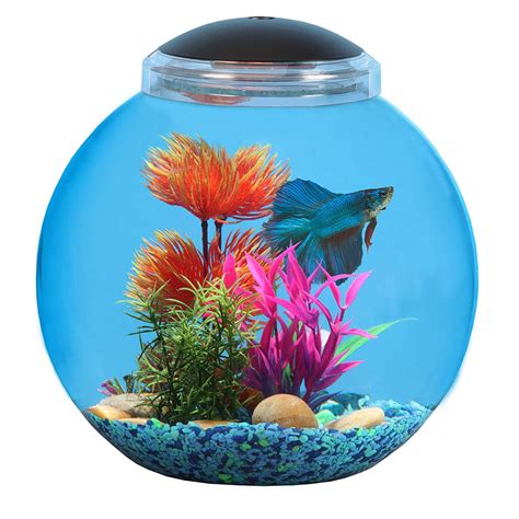 We did not find results for: 3 Gallon Fish Tank Aquarium Betta Starter Kit LED Light ...