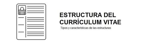 Estructura De Un Currículum Con Ejemplo Currículumya