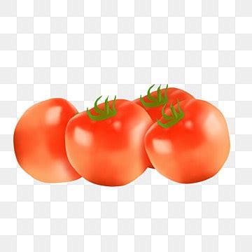 Rotten Tomatoes Png Transparent Images Free Download Vector Files Pngtree