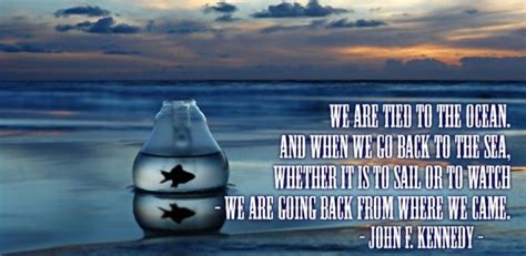 Jfk john f kennedy quote those who make peaceful revolution impossible, make violent revolution inevitable. john f kennedy quotes we are all tied to the sea | john f kennedy we are tied to the ocean and ...
