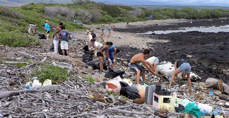 Marine Debris At Hawaiian Islands Humpback Whale National