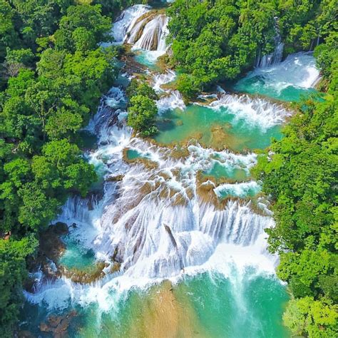 Conoce Las Hermosas Cascadas De Agua Azul Viaja Chiapas