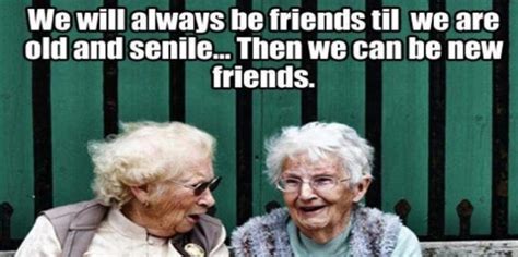 Old Friends Quotes Funny Buy Now