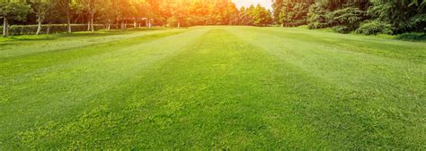 Mowersdirect.com has been visited by 10k+ users in the past month Soil Testing from Quality Lawn Services | Bangor, Maine