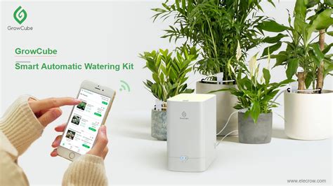 Review Of Growcube Smart Plant Watering