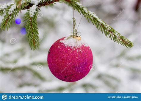 Snow Covered Christmas Trees With Christmas Toys Stock Photo Image Of