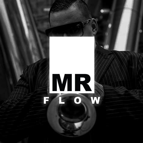 Mr Flow Home