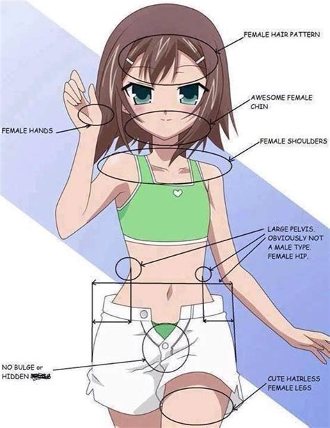Baka And Test Hideyoshi Is His Own Gender Dont Judge Him 3 All Anime Anime Love Anime Art