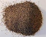 Little Black Termites Images