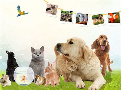 Indonesia International Pet Expo - The Jakarta Post Events