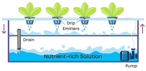 The Different Types Of Hydroponic Systems With Diagrams Smarter