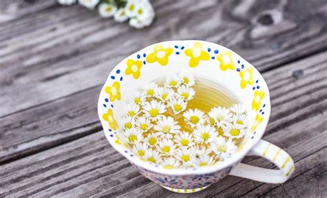 Surprising Health Benefits Of Chamomile Tea For Skin Hair More