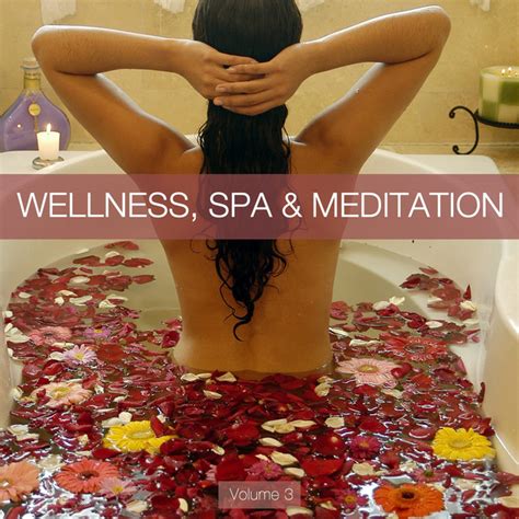 Wellness Spa And Meditation Vol 3 Compilation By Various Artists Spotify