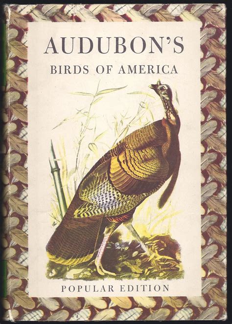 Audubons Birds Of America Popular Edition By Ludlow John James