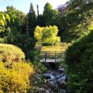 Check out the live recording! Wasser für den Garten: Quelle der Freude | Gartentechnik.de
