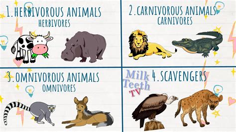 Are Cats And Dogs Omnivores Or Carnivores
