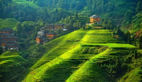 Yunnan China China Field Landscape Wallpaper And Background