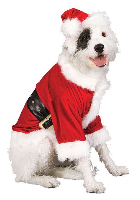 Christmas Outfits Ideas For Dogs