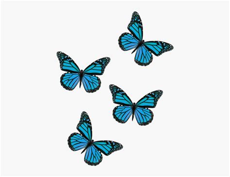 Blue Butterfly Aesthetic Png You Can Explore In This Category And