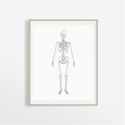 Full Human Skeleton Body Artwork Abstract Skeletal System Etsy