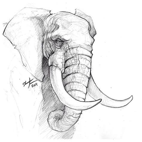 3 photos · curated by antonio amaro. A Sunday sketch. #sketch #sketching #elephant #animals #draw #drawing #conceptart #illustration ...