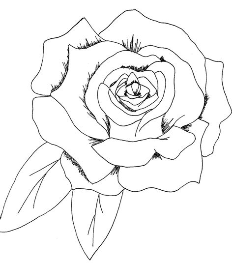 1280x720 drawing a simple bouquet of roses how to draw a bouquet of rose. Commission: A Simple Rose... by Saribrum on DeviantArt