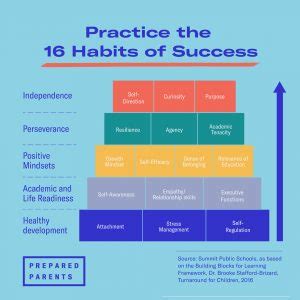 Focus on Habits Instead of Test Scores - Prepared Parents