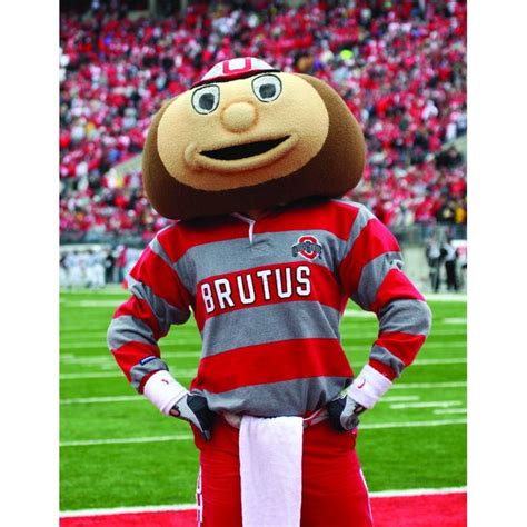 College University Brutus Buckeye Mascot Costume Brutus Buckeye Ohio
