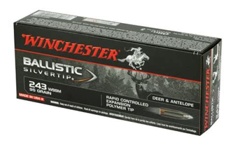 Winchester Ammunition Ballistic Silvertip 243 Super Short Magnum 95