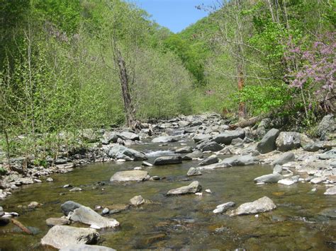 Check spelling or type a new query. Shining's Ultra Blog: Cool Training Runs, Part 4: Rip Rap ...