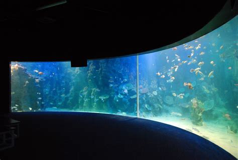 Custom Title Image Gallery Marinescape Eco Aquariums