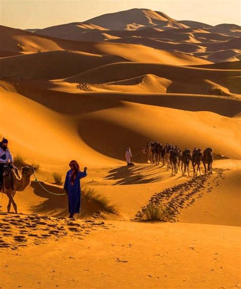 Sahara Desert Tour From Marrakech Merzouga Desert And Zagora Desert