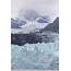 Margerie Glacier  Bay National Park Alaska Ron Niebrugge