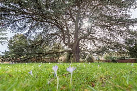 Gut angebunden, ruhige gegend, zentral oder dezentral Botanischer Garten Gera / Lra Vogtlandkreis Vdb ...