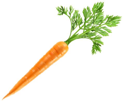 Download High Quality Carrot Clipart High Resolution Transparent PNG Images Art Prim Clip Arts
