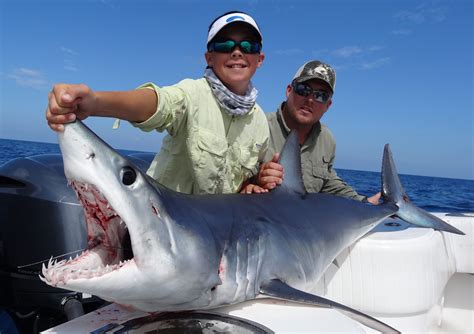 Shark Fishing In Key West Florida With Delph Fishing Charters