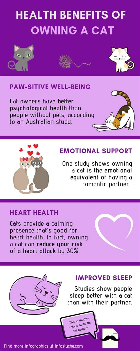 Health Benefits Of Owning A Cat Infographic Infostache