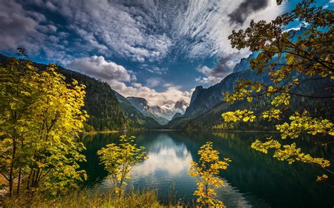 Tree Environment Remote Gosau Idyllic Nature Vorderer Gosausee