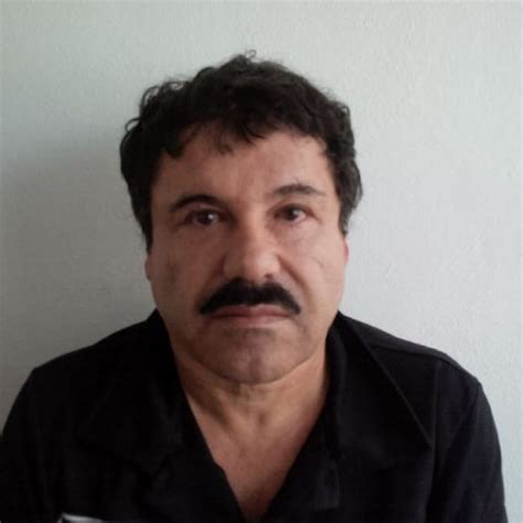 Joaquin Guzman Drug Cartel Leader Captured In Mexico Cbc News
